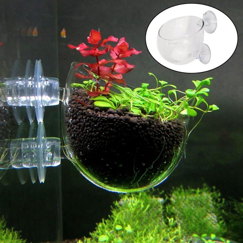 Aquarium Innovative Marine - ตกแต่งตู้ปลาถ้วยหม้ออะคริลิคน้ําถ้วยผู้ถือดูดปลูกถ้วย Aquarium อุปกรณ์เสริม