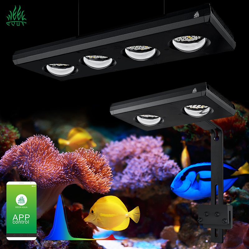 Aquarium Blue Marine Reef - ไฟ LED สำหรับตู้ปลาทะเล ZXY Hot Sale