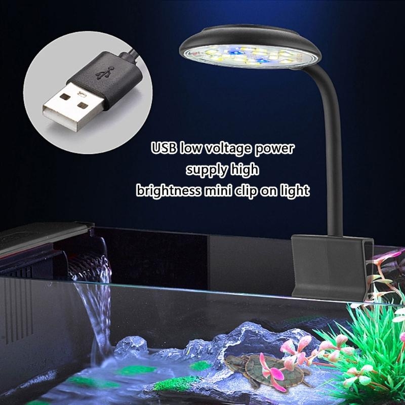 Marine Life Aquariums - การปรับความสว่างของพิพิธภัณฑ์สัตว์น้ำ LED แสงไฟเต็มสเปกตรัมสำหรับการตกแต่งภูมิทัศน์ปลาสำหรับปะการังชีวิตทางทะเล