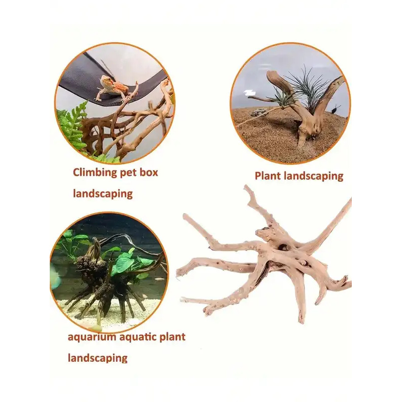 ไม้ลอยน้ำธรรมชาติสำหรับตกแต่งต - Aquarium Innovative Marine บทวิจารณ์และราคา