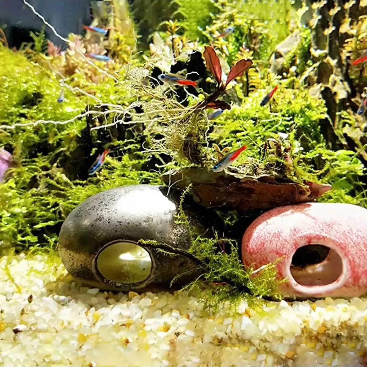 1 pc-250g คริสตัลธรรมชาติกรวดห - Aquarium Innovative Marine บทวิจารณ์และราคา