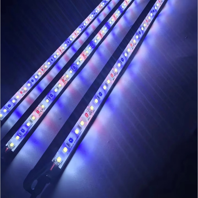 ไฟ LED สำหรับตู้ปลาแบบกันน้ำ I - Aquarium Blue Marine Reef บทวิจารณ์และราคา