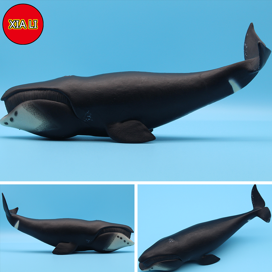 ของเล่นจำลองสัตว์ทะเล วาฬเพชฌฆ - Marine Life Aquariums บทวิจารณ์และราคา