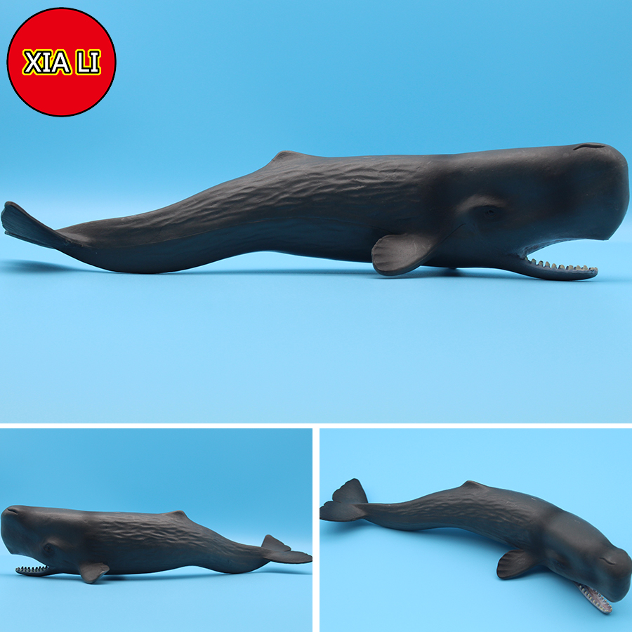 ของเล่นจำลองสัตว์ทะเล วาฬเพชฌฆ - Marine Life Aquariums บทวิจารณ์และราคา