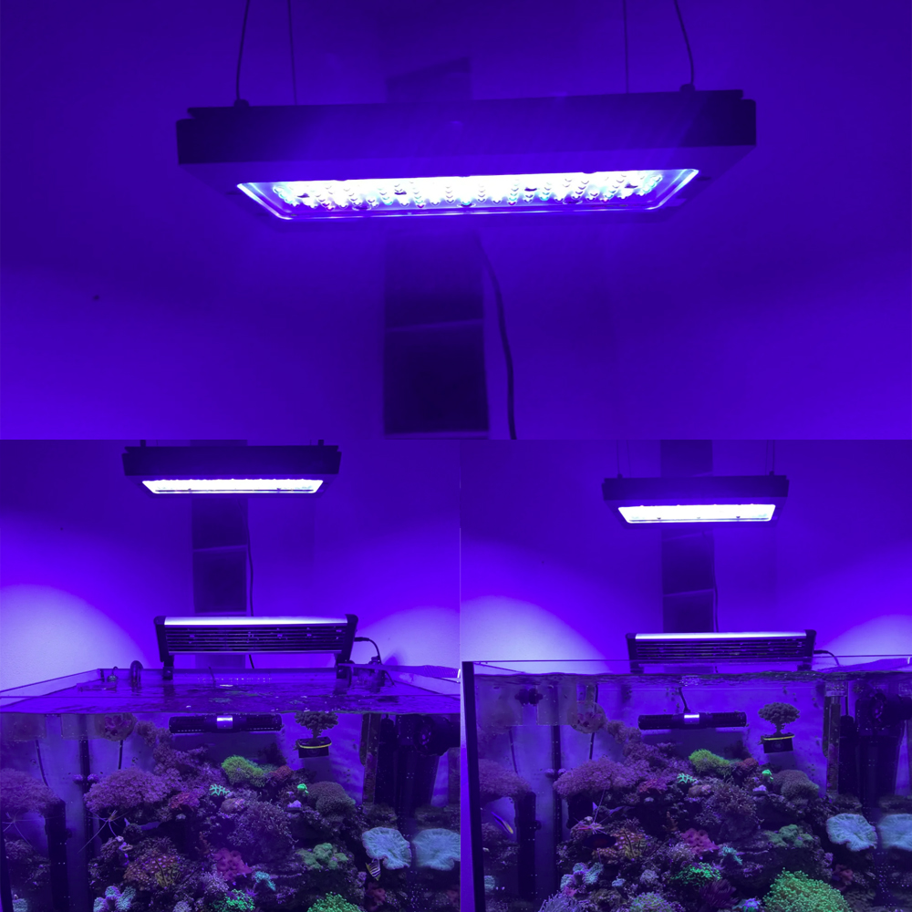 A8se Pro III MAX สีน้ำเงิน 240 - Aquarium Blue Marine Reef บทวิจารณ์และราคา