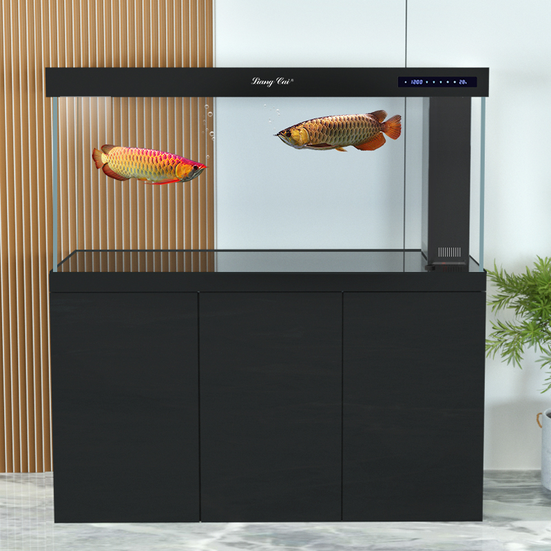 ตู้ปลาแก้วใสพิเศษทันสมัย พร้อม - Marine Life Aquariums บทวิจารณ์และราคา
