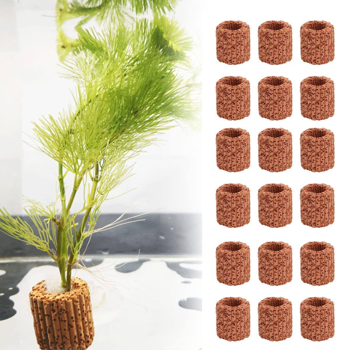 ของตกแต่งตู้ปลาแหวนกระถางต้นไม - Aquarium Innovative Marine บทวิจารณ์และราคา
