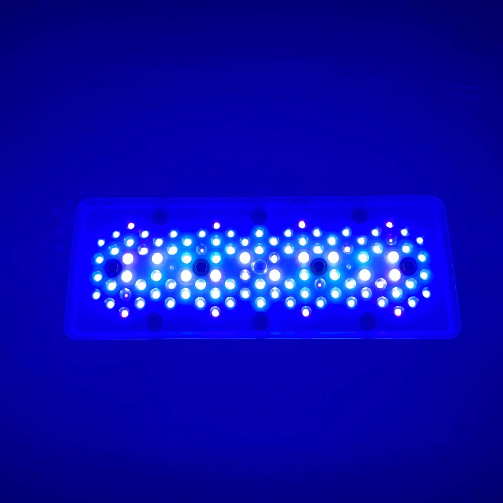 A8se A8PRO III BLUE 240W ไฟ LE - Aquarium Blue Marine Reef บทวิจารณ์และราคา
