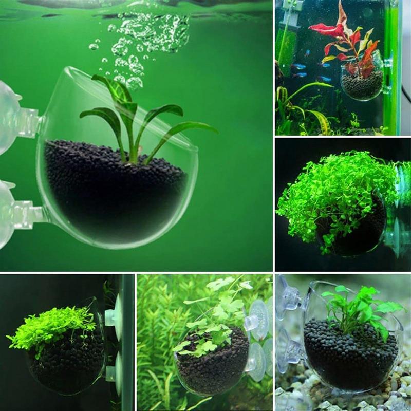 ตกแต่งตู้ปลาถ้วยหม้ออะคริลิคน้ - Aquarium Innovative Marine บทวิจารณ์และราคา