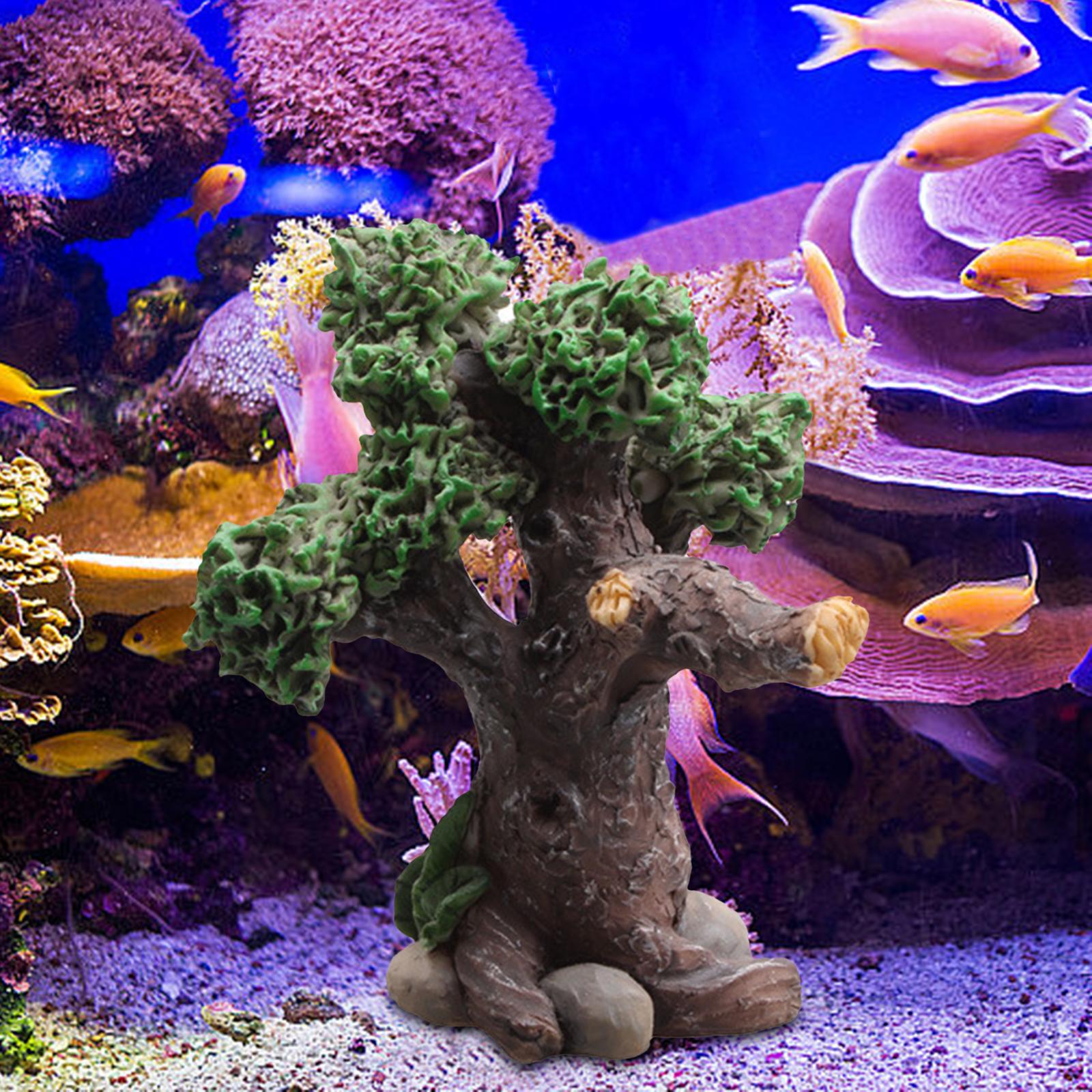 พิพิธภัณฑ์สัตว์น้ํา Rockery Hi - Aquarium Marina บทวิจารณ์และราคา