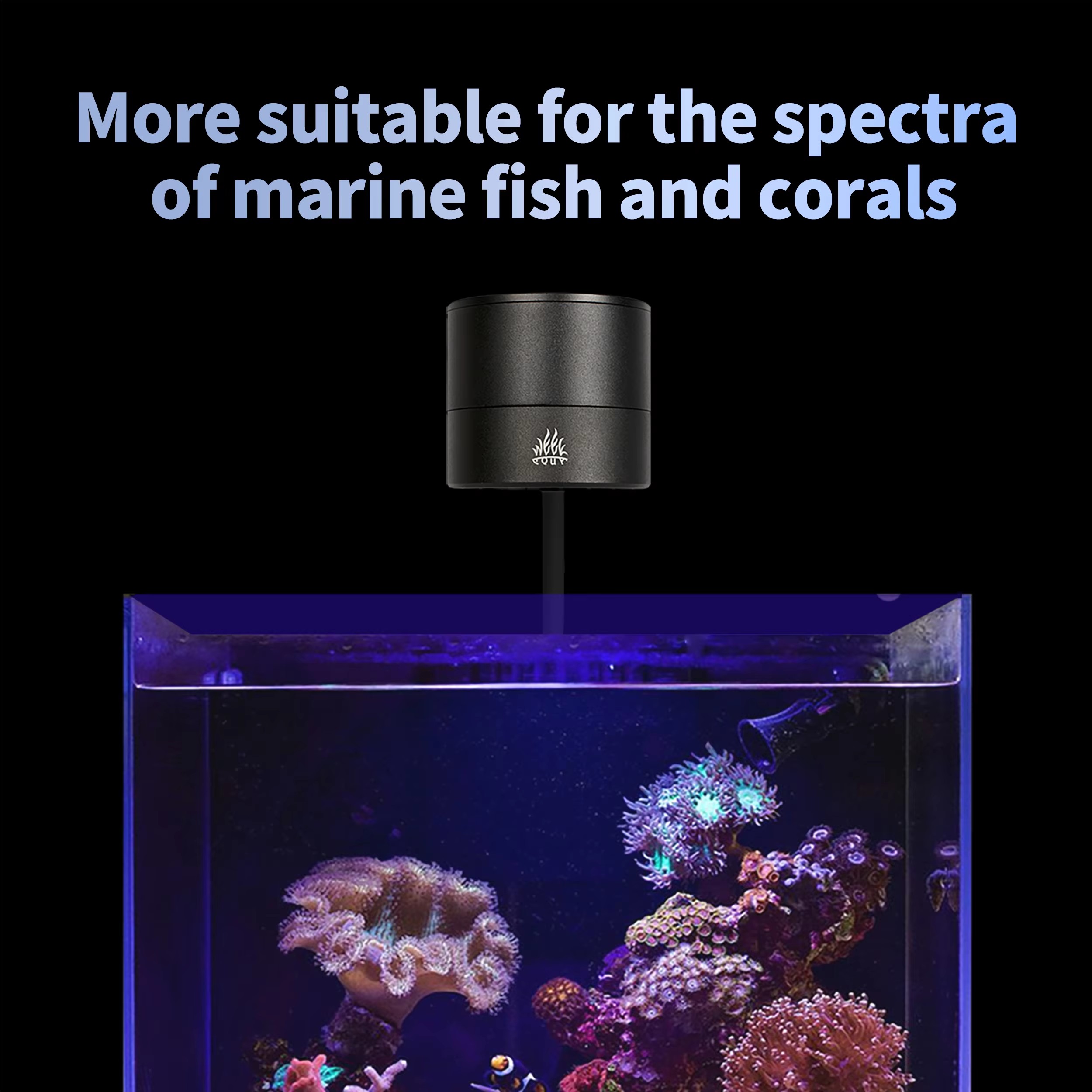 ไฟสำหรับตู้ปลา WEEK AQUA รุ่น  - Aquarium Blue Marine Reef บทวิจารณ์และราคา