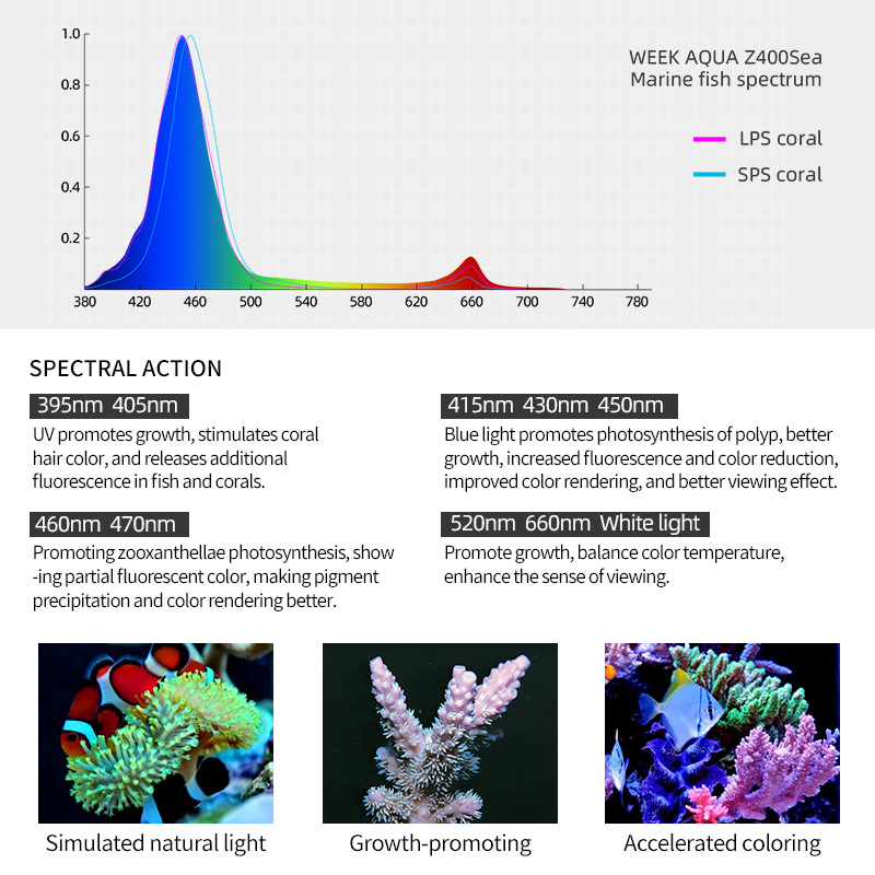 ไฟ LED สำหรับตู้ปลาทะเล ZXY Ho - Aquarium Blue Marine Reef บทวิจารณ์และราคา