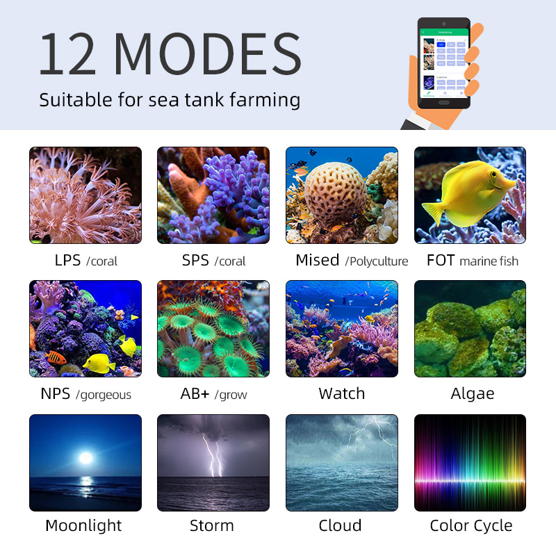 ไฟ LED สำหรับตู้ปลาทะเล ZXY Ho - Aquarium Blue Marine Reef บทวิจารณ์และราคา