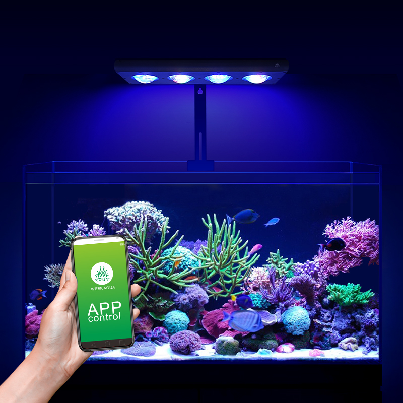 ไฟ LED สำหรับตู้ปลาทะเล ZXY Ho - Aquarium Blue Marine Reef บทวิจารณ์และราคา