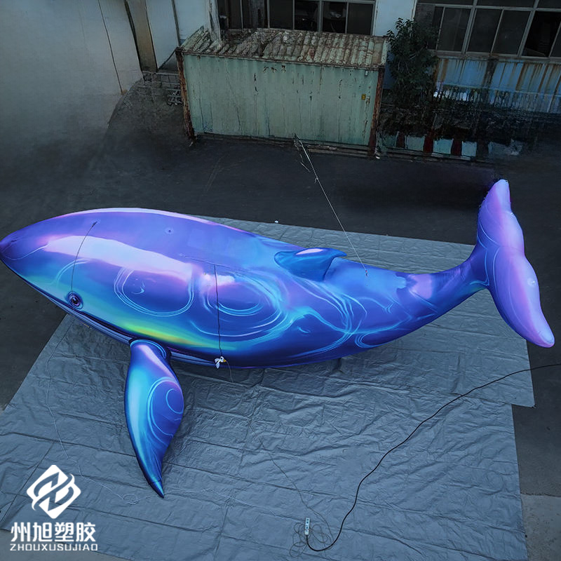 วาฬสีน้ำเงินเป่าลม ใช้เป็นของต - Marine Life Aquariums บทวิจารณ์และราคา
