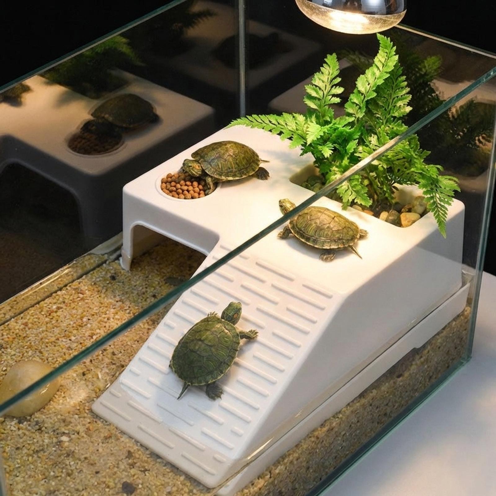 แพลตฟอร์มพักผ่อนสำหรับเต่า  แท - Aquarium Innovative Marine บทวิจารณ์และราคา