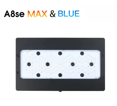 ไฟเลี้ยงปะการังสำหรับตู้ปลาทะเ - Aquarium Blue Marine Reef บทวิจารณ์และราคา