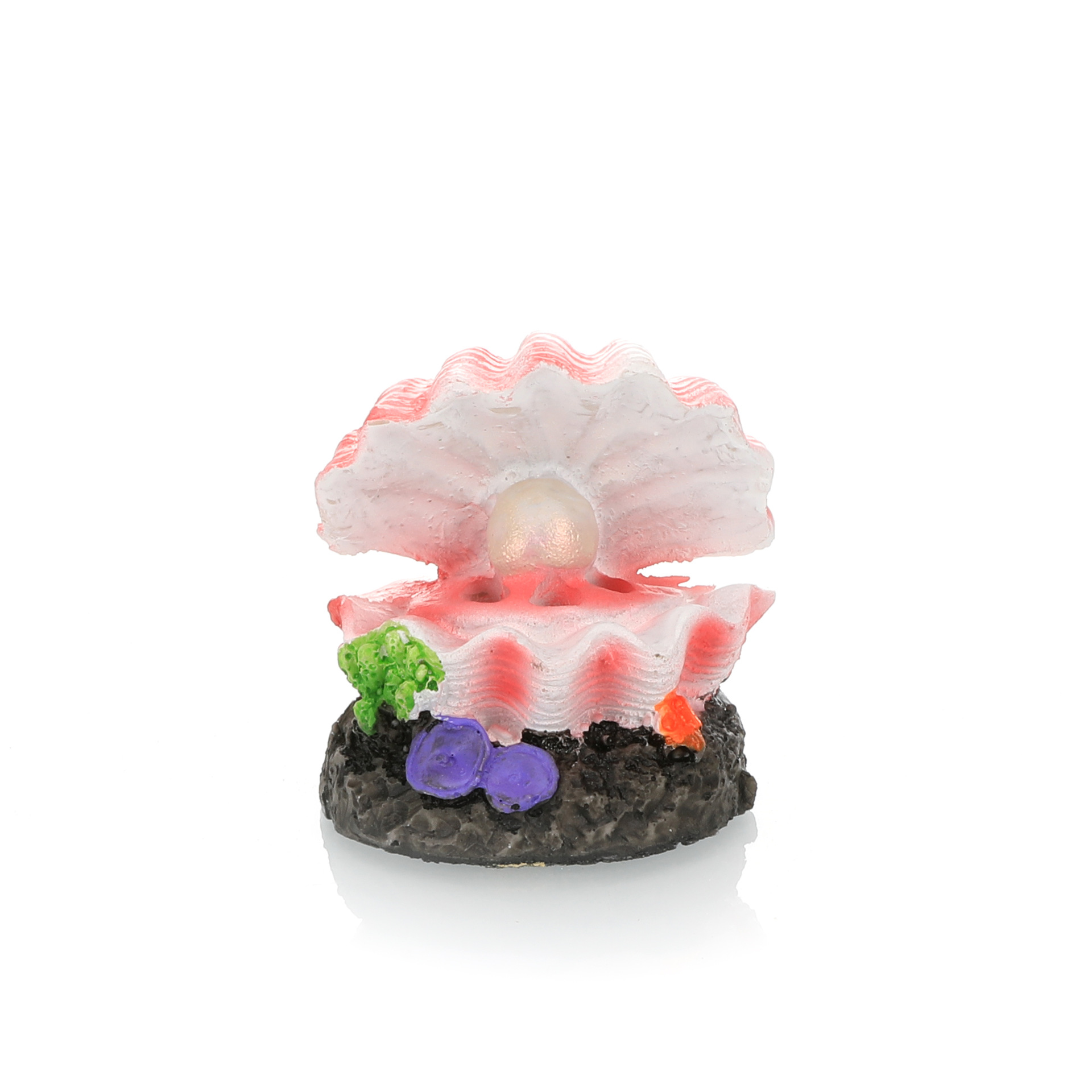ถังปลาภูมิทัศน์จําลอง Volcano  - Aquarium Innovative Marine บทวิจารณ์และราคา