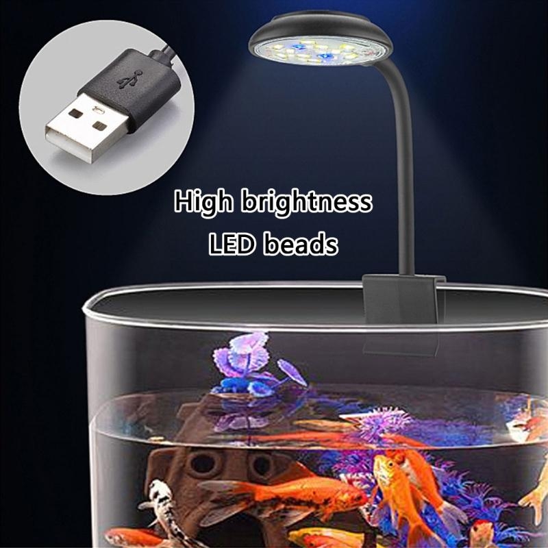 การปรับความสว่างของพิพิธภัณฑ์ส - Marine Life Aquariums บทวิจารณ์และราคา