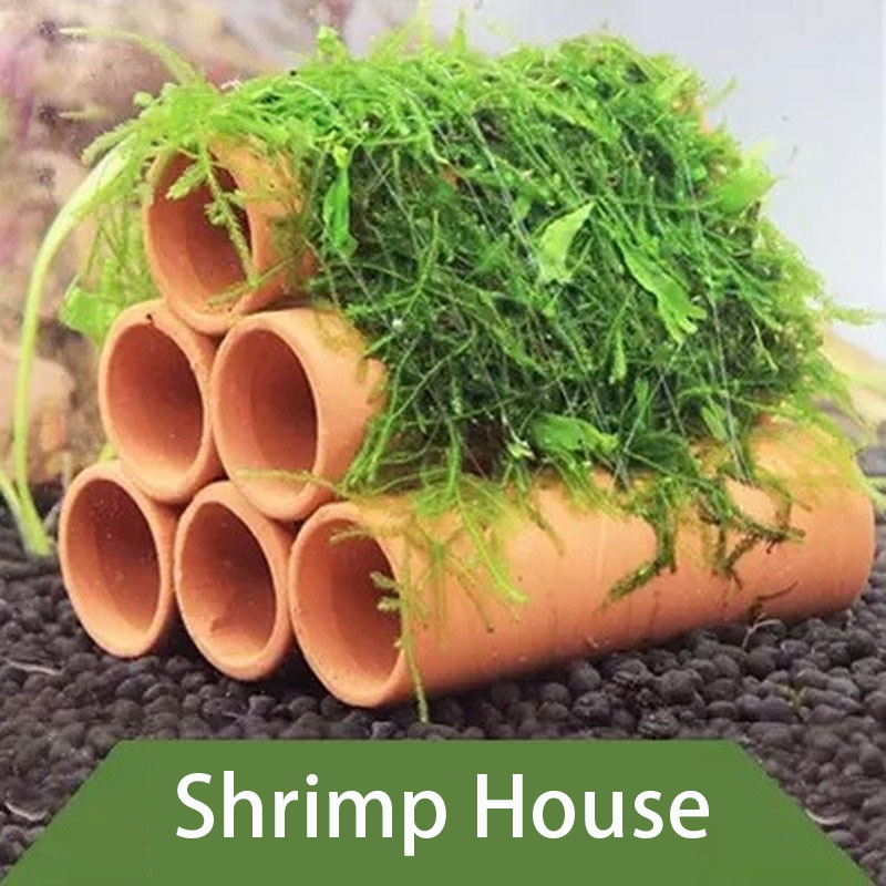 Clay Aquarium ตกแต่งปลากุ้งเล่ - Aquarium Innovative Marine บทวิจารณ์และราคา
