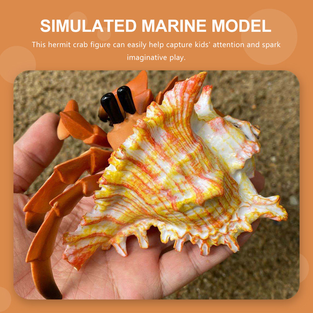 ปูเสฉวนจำลองสำหรับตกแต่งตู้ปลา - Marine Aquarium Europe บทวิจารณ์และราคา
