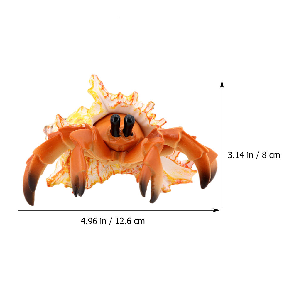 ปูเสฉวนจำลองสำหรับตกแต่งตู้ปลา - Marine Aquarium Europe บทวิจารณ์และราคา