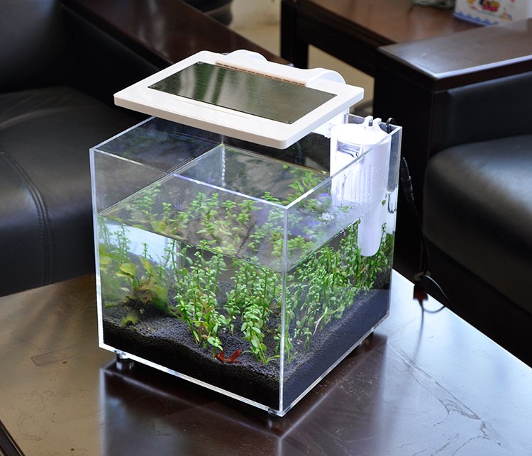 ตู้ปลาอะคริลิคขนาดเล็ก (25*25* - Aquarium Marina บทวิจารณ์และราคา