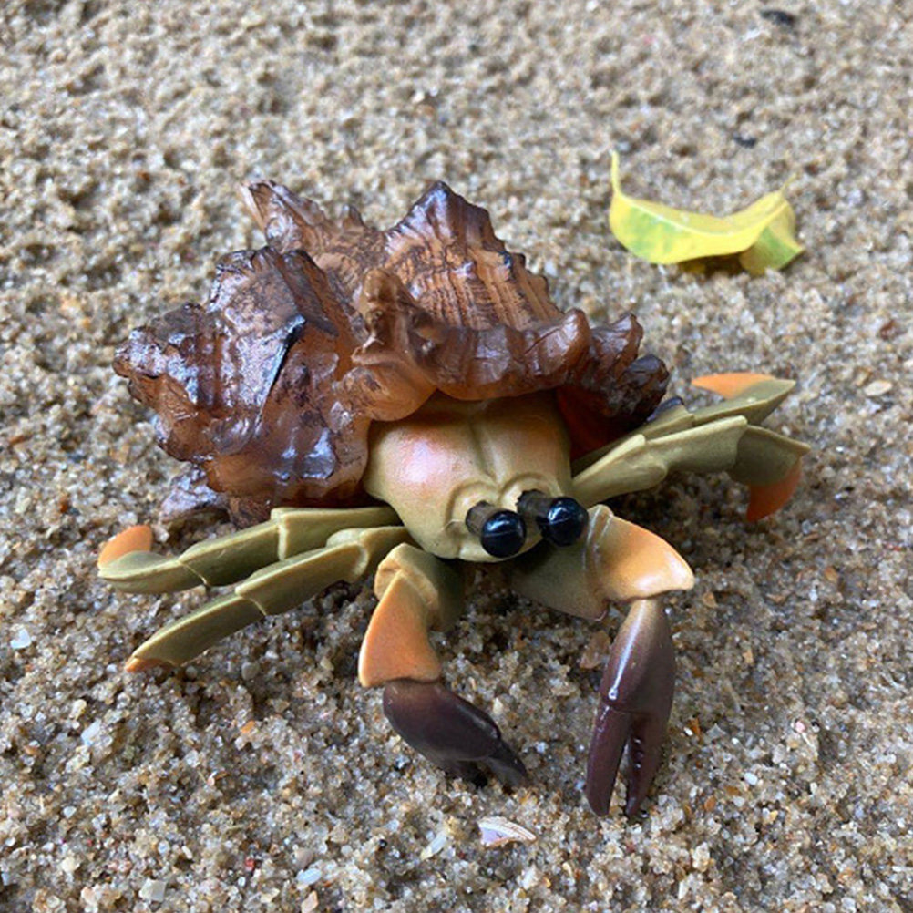 ของตกแต่งปูเสฉวนพลาสติกเสมือนจ - Marine Aquarium Europe บทวิจารณ์และราคา