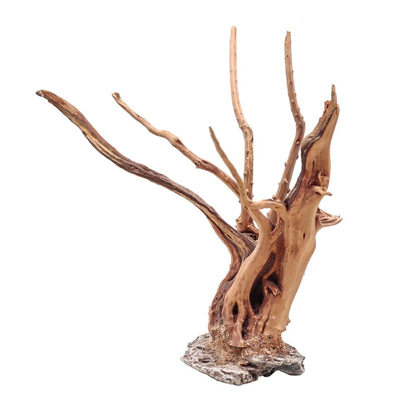 1PC Aquarium ภูมิทัศน์เครื่องป - Aquarium Innovative Marine บทวิจารณ์และราคา