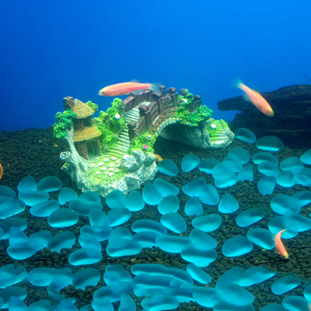 อุปกรณ์ตู้ปลา Arbor ต้นไม้ปลอม - Aquarium Innovative Marine บทวิจารณ์และราคา