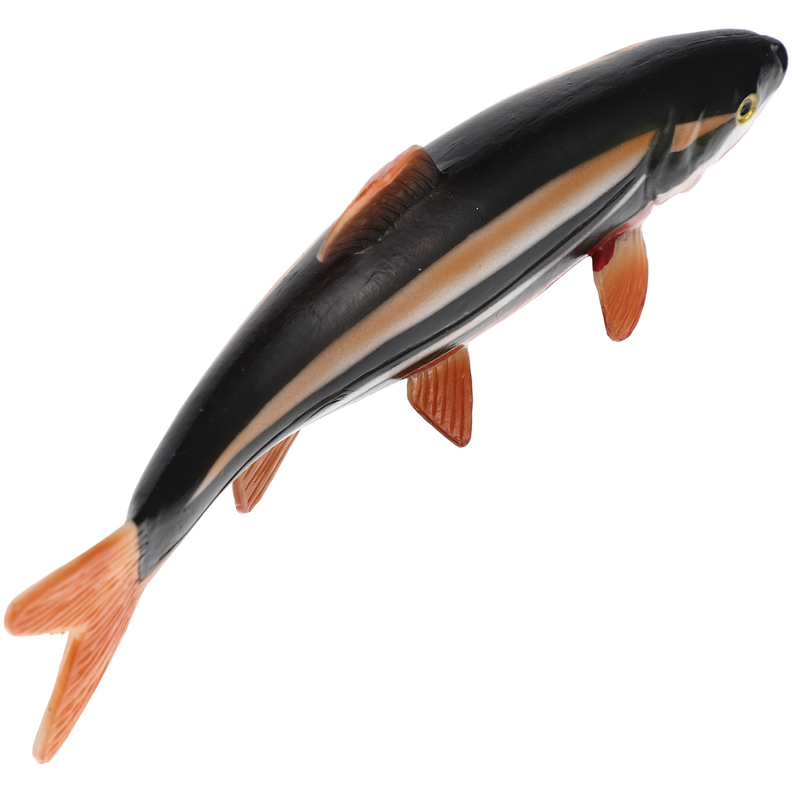 จำลองสัตว์ทะเล ปลาทะเลพลาสติกแ - Marine Aquarium Europe บทวิจารณ์และราคา