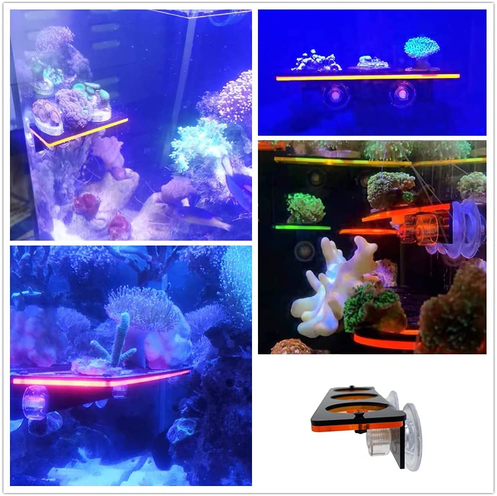 เรืองแสง Coral Frag ปลั๊กยึดปล - Aquarium Innovative Marine บทวิจารณ์และราคา