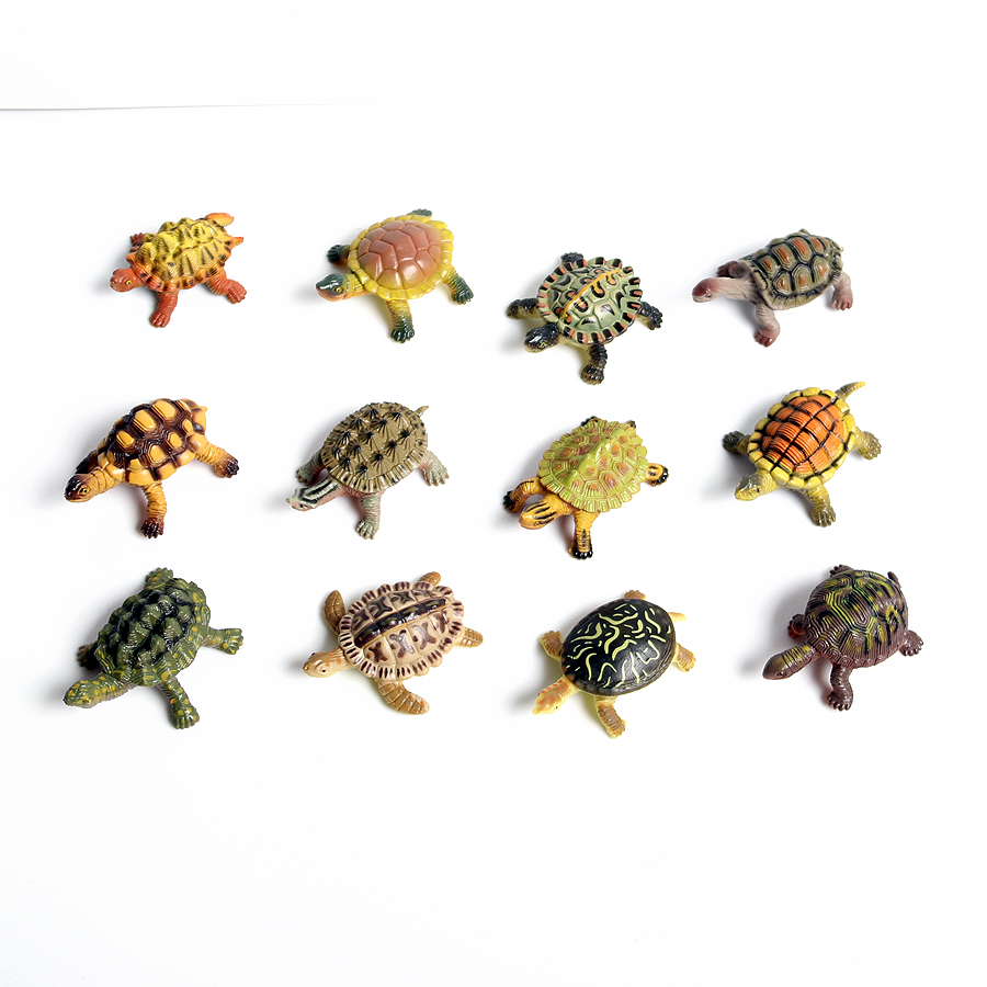 โมเดลเต่าทะเลขนาดเล็กเหมือนจริ - Marine Life Aquariums บทวิจารณ์และราคา