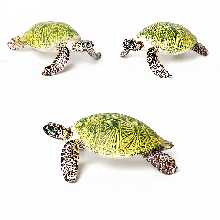 โมเดลเต่าทะเลขนาดเล็กเหมือนจริ - Marine Life Aquariums บทวิจารณ์และราคา